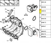 163634-Corpo da Borboleta - TBI