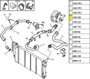 1343Z8-Mangueira Superior do Radiador