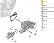 1338AV-Suporte da Valvula Termostatica